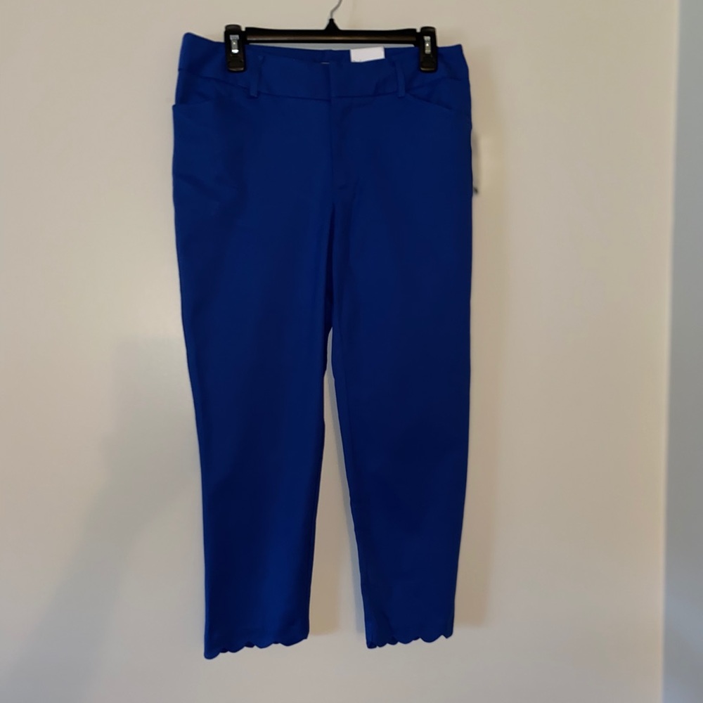 👖 Izod Cropped Pants